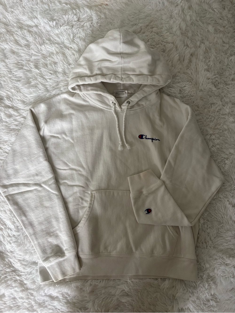 Champion hoodie